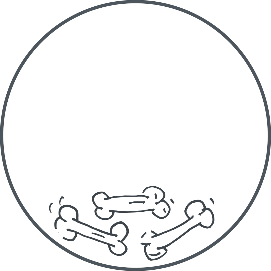 Bones
