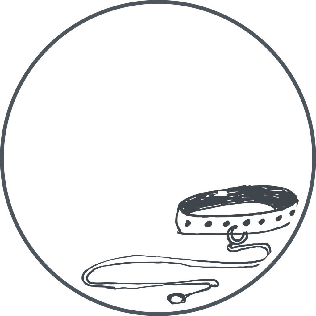 Collar Leash