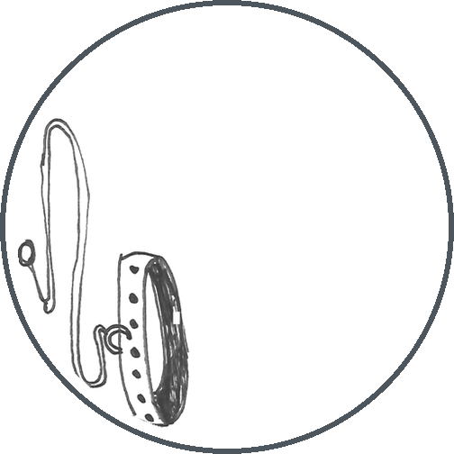 Collar Leash