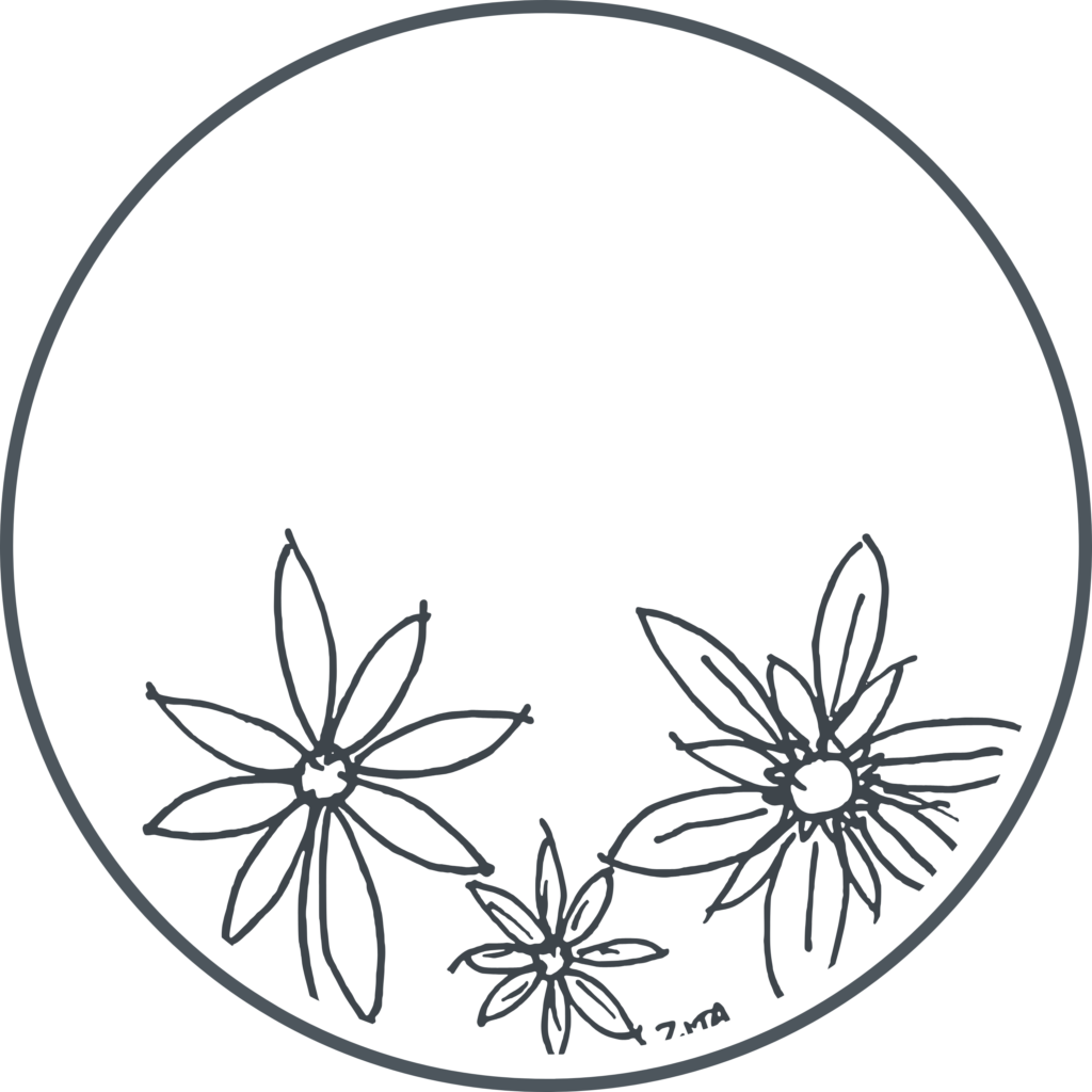 Daisies