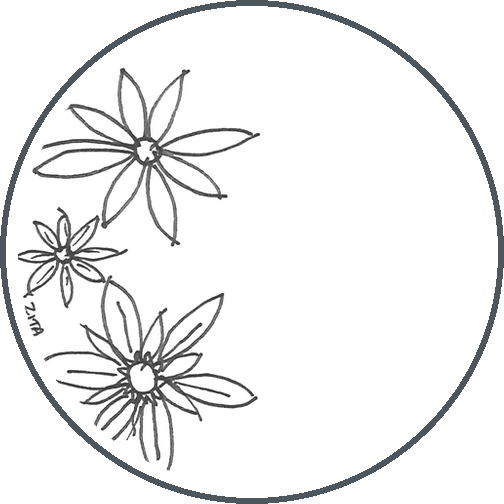 Daisies